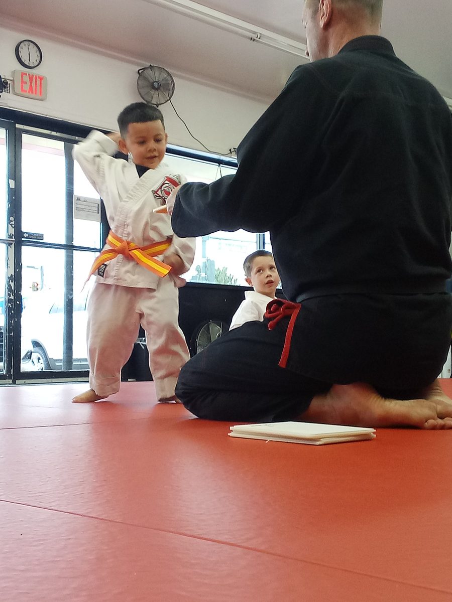 Rhyno's Peoples Kenpo Karate gallery photo 1